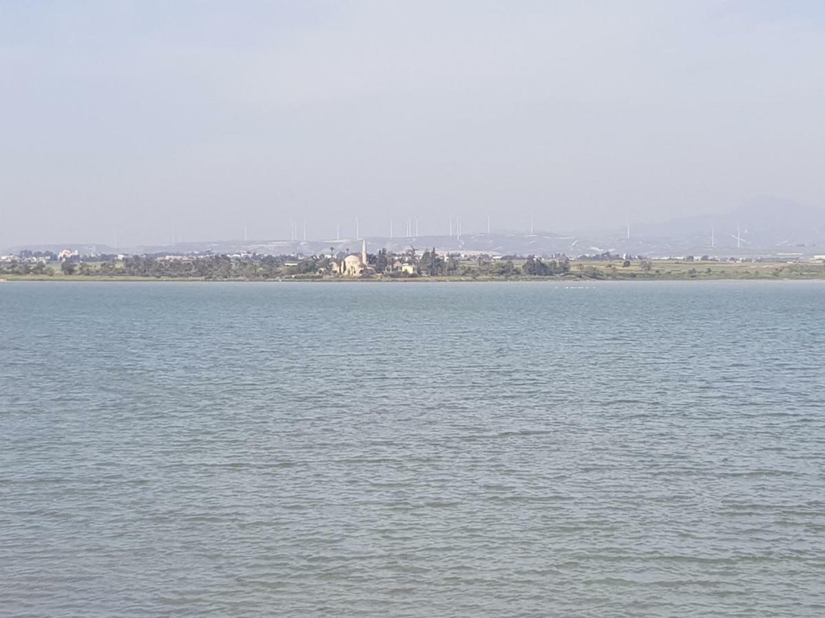 Haig'S Dream Flat On The Beach Larnaca Bagian luar foto